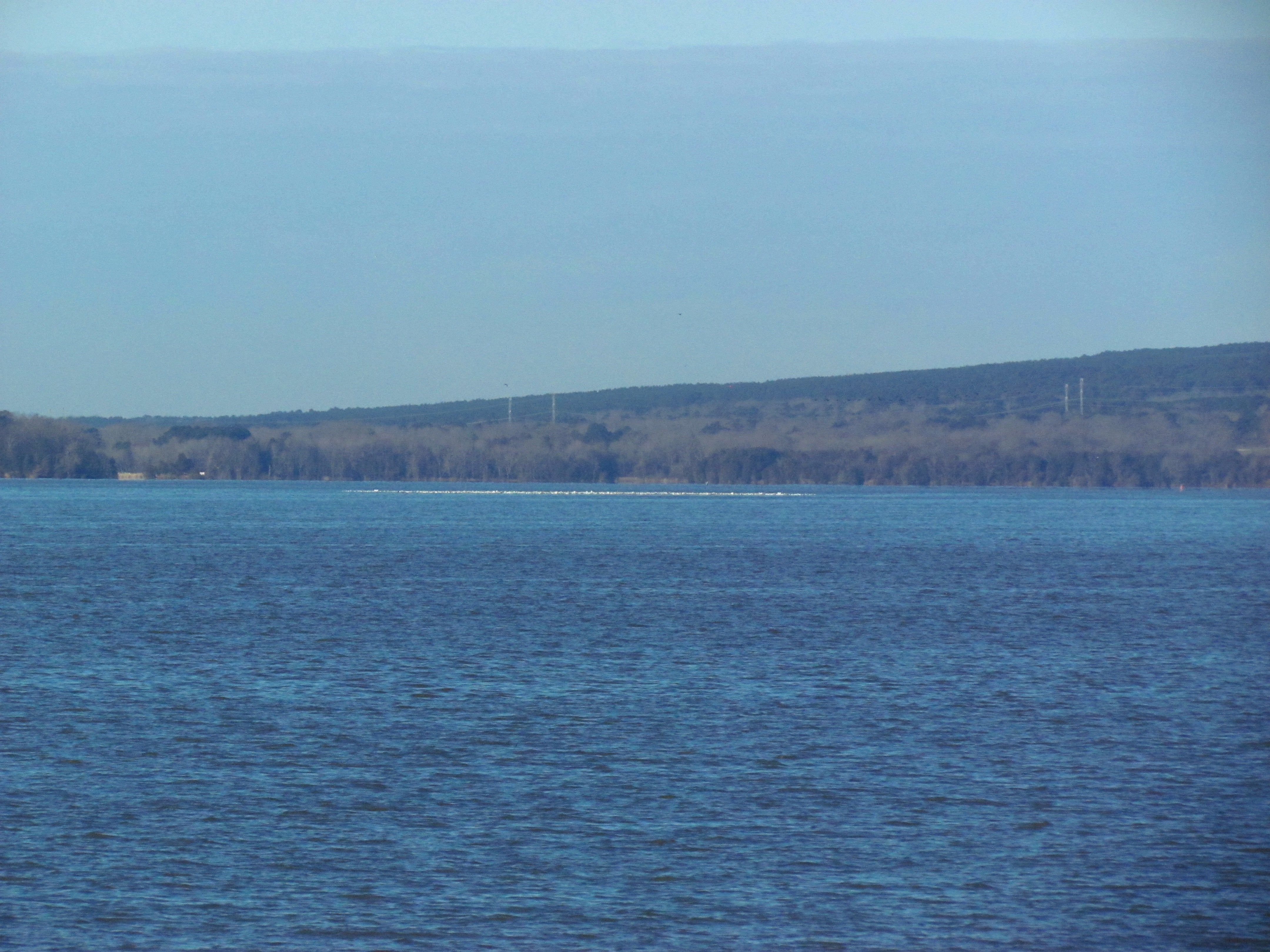 A view across Lake Dardanelle with a shimmer of white in the distance on the water where the snow geese sit.